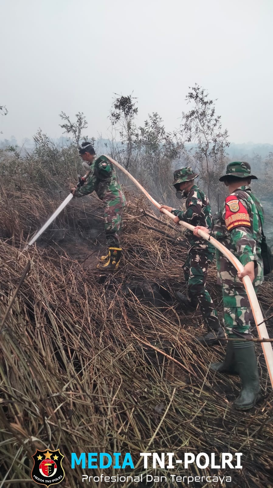 Gerak Cepat TNI Tangani Karhutla di Kelurahan Timbangan Api Berhasil Dipadamkan