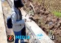 93 Titik P3TGAI di Wonogiri Mampu Aliri 2.661,5 Hektare Lahan, Dukung Ketahanan Pangan