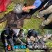 Polres Lampung Barat Ungkap Kasus Pembunuhan di Way Tenong, Pelaku Serahkan Diri