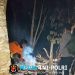 Polsek Cukuh Balak dan Tagana Bersama Warga Padamkan Kebakaran 1 Hektar Lahan di Putih Doh
