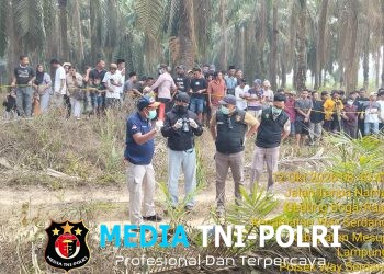 Tim Inavis Polres Mesuji Olah TKP dan Lakukan Identifikasi Penemuan Mayat di Kebun Sawit