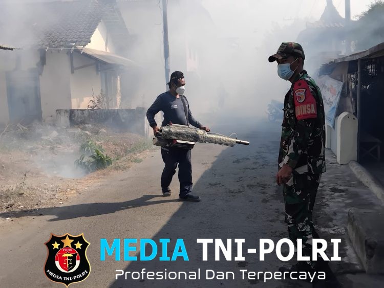 Cegah Demam Berdarah, Babinsa Kalipucung Pendampingan Fogging Serentak Di Dusun Kalipucung
