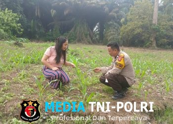 Bhabinkamtibmas Polsek Menyuke Lakukan Pengecekan Tanam Jagung Serentak Kuartal II Tahun 2026