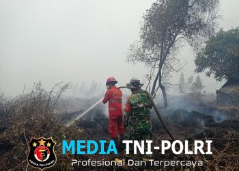 Gerak Cepat TNI Bersama Tim Gabungan Lakukan Groundchek dan Pemadaman Karhutla di Tulung Selapan