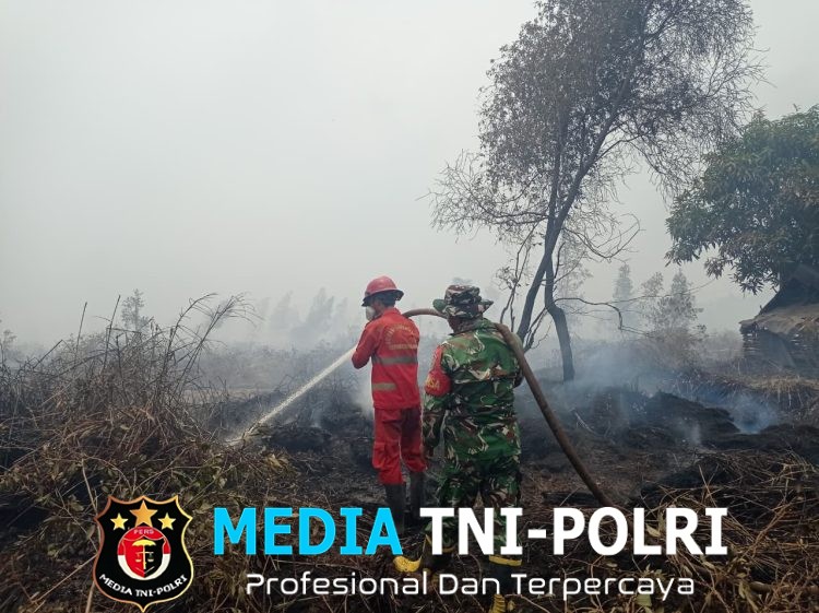 Gerak Cepat TNI Bersama Tim Gabungan Lakukan Groundchek dan Pemadaman Karhutla di Tulung Selapan