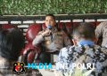 Kapolres Simalungun Rembuk Bersama Kepling dan Gamot di Dolok Batu Nanggar, Serap Keluhan Warga hingga Balap Liar dan Ngelem