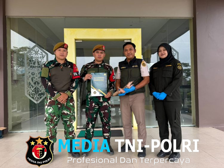 Warga Serahkan Trenggiling Hidup kepada Satgas Yonarmed 19/Bogani, Bukti Keberhasilan Pembinaan Masyarakat Perbatasan