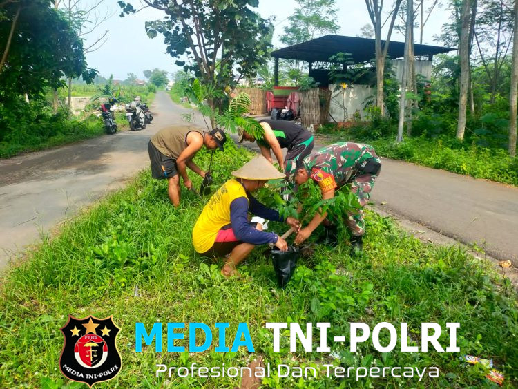 Jaga Kelestarian Lingkungan, Babinsa Ngadirejo Bersama Warga Gotong Royong Tanam Pohon Saman Dan Trembesi