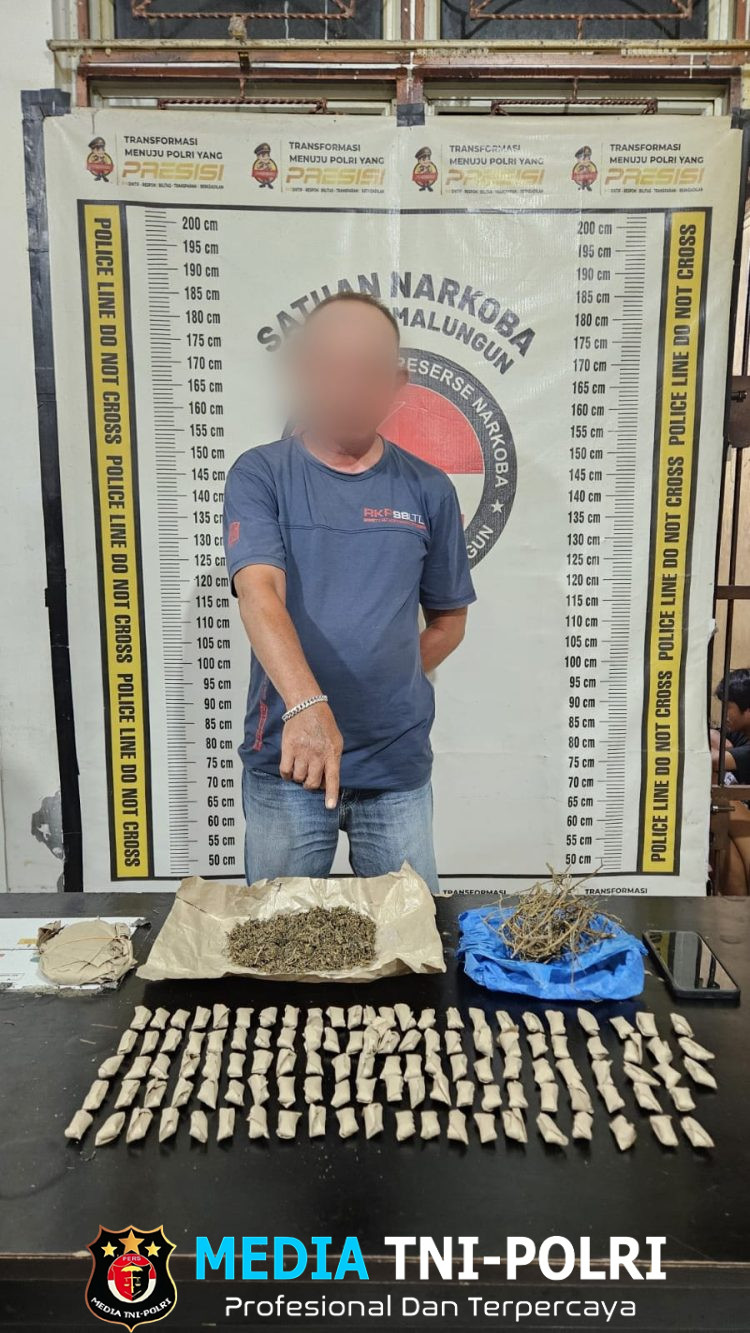 Polsek Gunung Malela Bekuk Pengedar Ganja di Perladangan Sidoerejo, Puluhan Paket Siap Edar Disita