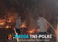 Gerak Cepat Polres Lampung Timur dan Brimob Padamkan Karhutla di TN Way Kambas