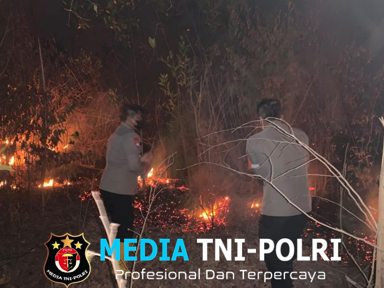 Gerak Cepat Polres Lampung Timur dan Brimob Padamkan Karhutla di TN Way Kambas