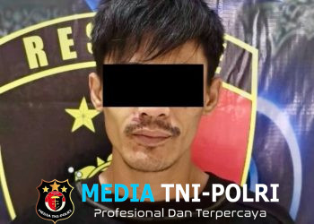 Curi Motor Tetangga Sendiri, Pria Ini Diciduk Tekab 308 Polsek Way Pengubuan