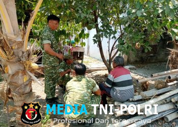 INGIN JADI PRAJURIT TNI AD? Babinsa Plupuh Ingatkan Warga, Rekrutmen Gratis Tanpa Pungutan Biaya